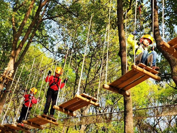 Forest crossing