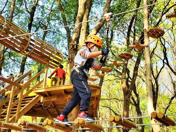 Forest crossing