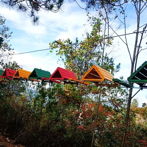 Forest crossing