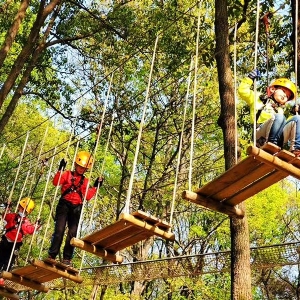 Forest crossing