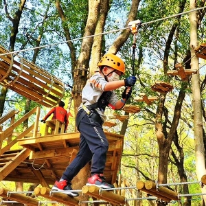 Forest crossing