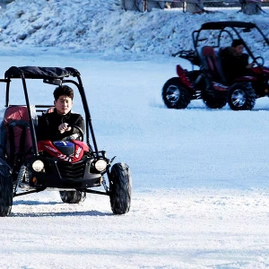 Snow motorcycle kart