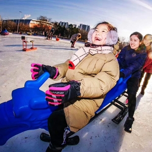 Ski Cart