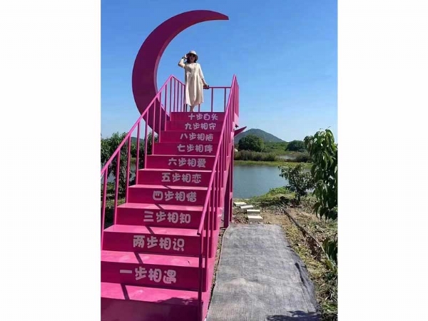 Internet celebrity bridge