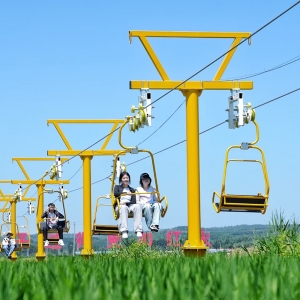 Low-altitude cable car