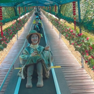 景區(qū)魔毯