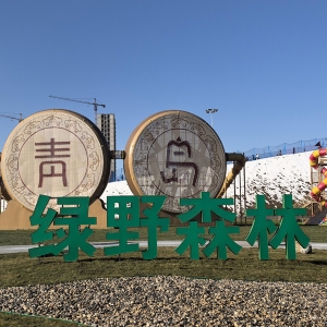 青島 龍鳳鼓