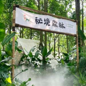 網(wǎng)紅打卡